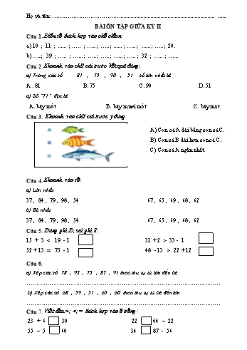 Bài ôn tập giữa kỳ II môn Toán Lớp 1 (Kết nối tri thức và cuộc sống)