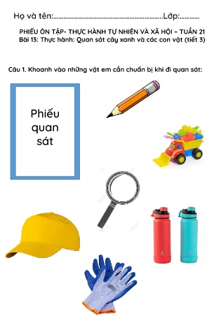 Phiếu ôn tập – thực hành Tự nhiên và Xã hội Lớp 1 (Cánh diều) - Tuần 21, Bài 13: Thực hành Quan sát cây xanh và các con vật (Tiết 3)